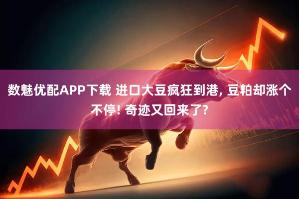 数魅优配APP下载 进口大豆疯狂到港, 豆粕却涨个不停! 奇迹又回来了?