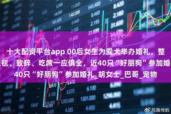 十大配资平台app 00后女生为爱犬举办婚礼，整场花费3200元，走红毯、致辞、吃席一应俱全，近40只“好朋狗”参加婚礼_胡女士_巴哥_宠物