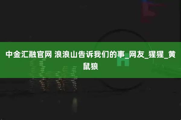 中金汇融官网 浪浪山告诉我们的事_网友_猩猩_黄鼠狼