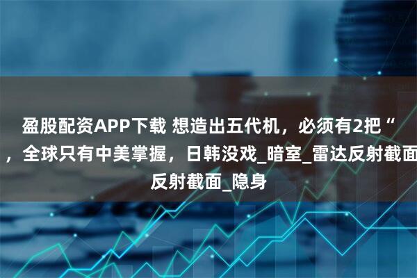 盈股配资APP下载 想造出五代机,必须有2把“钥匙”,全球只有中美掌握,日韩没戏_暗室_雷达反射截面_隐身